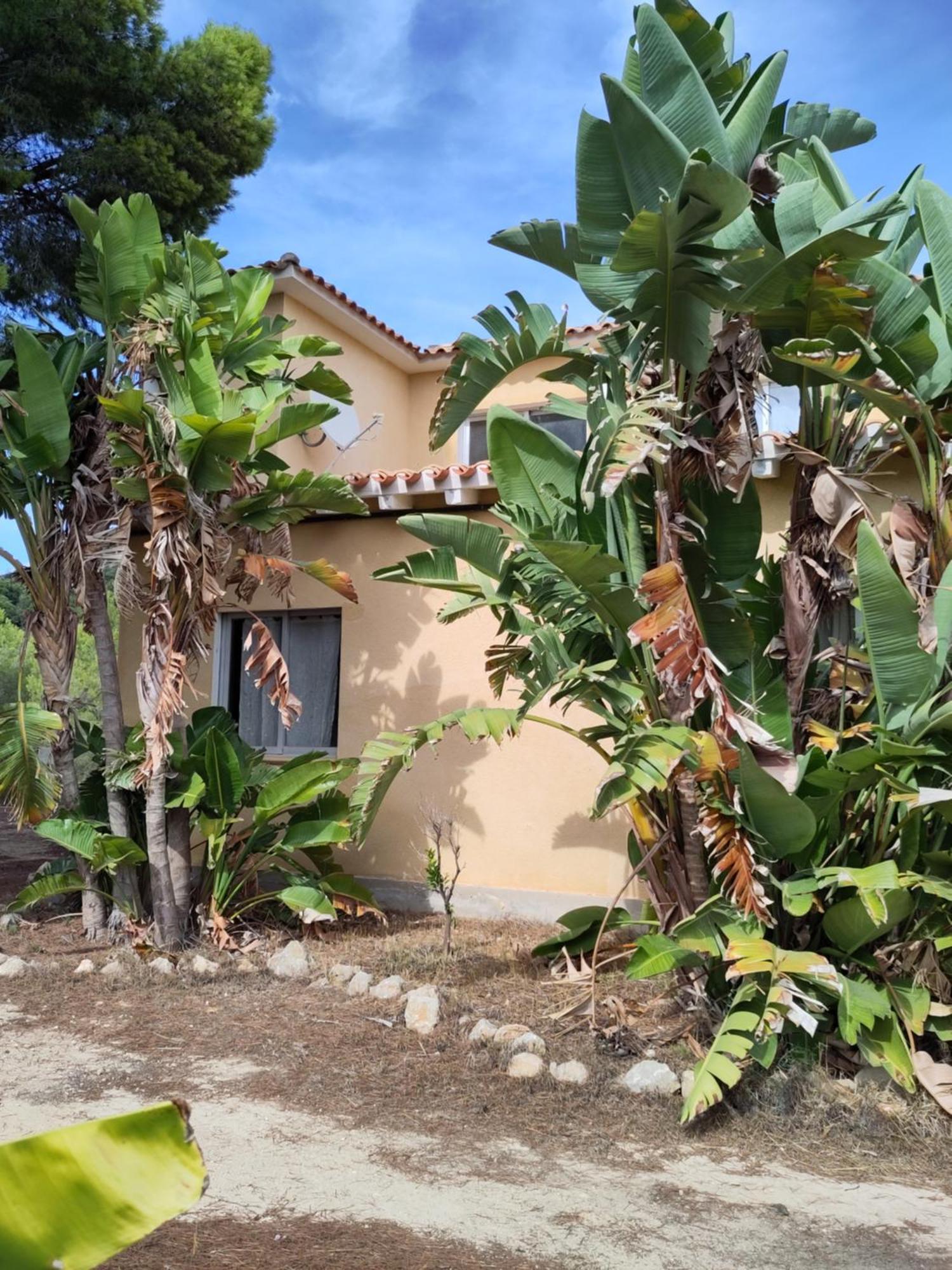 Finca Caracol Bolulla Exterior foto